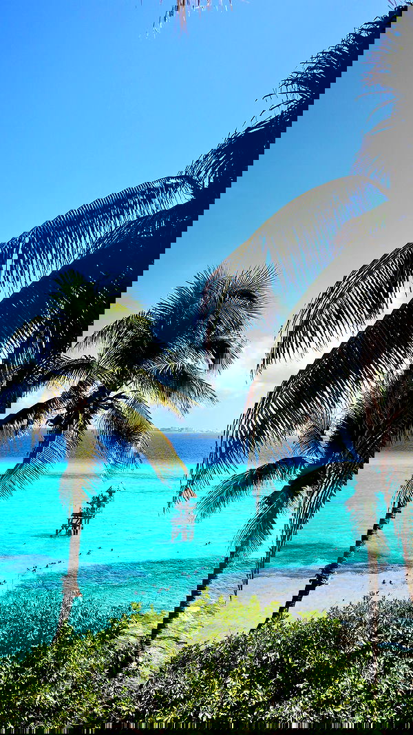 valeria_lukin valeria_lukin archive image