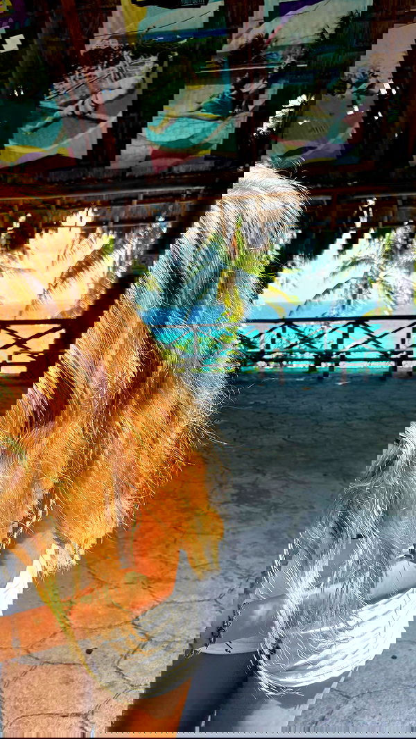 valeria_lukin valeria_lukin archive image