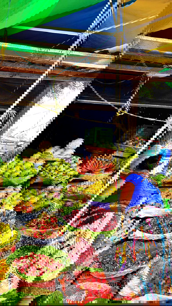 valeria_lukin valeria_lukin archive image