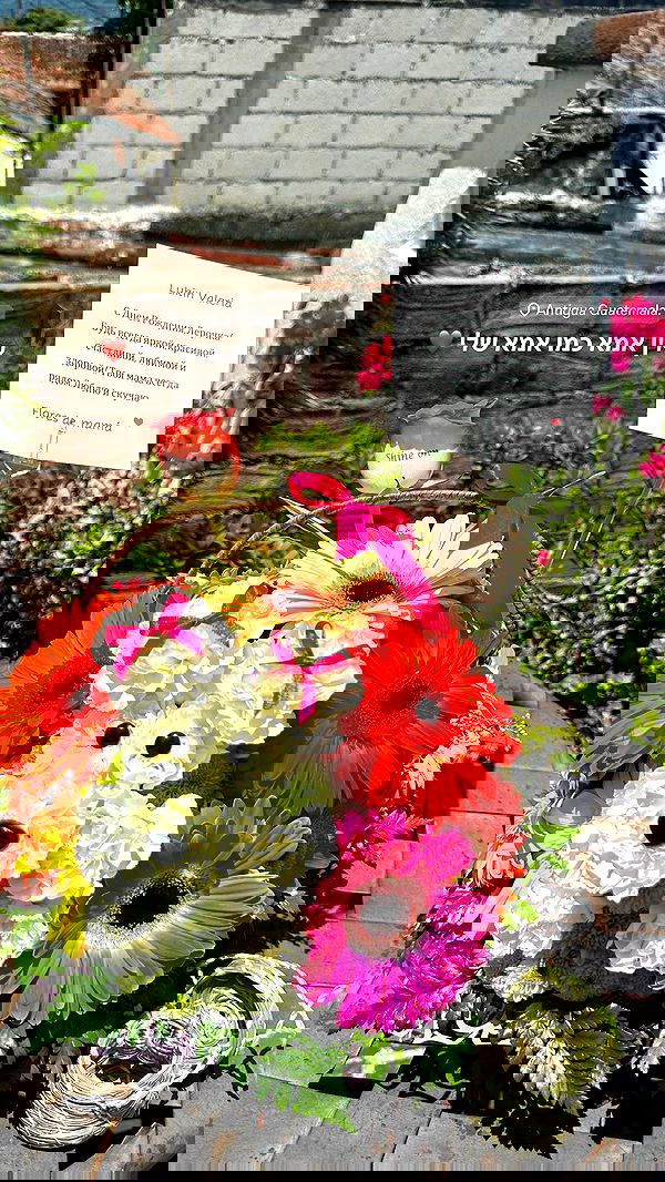 valeria_lukin valeria_lukin archive image