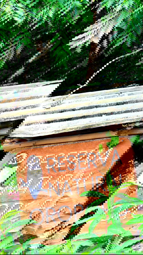 valeria_lukin valeria_lukin archive image