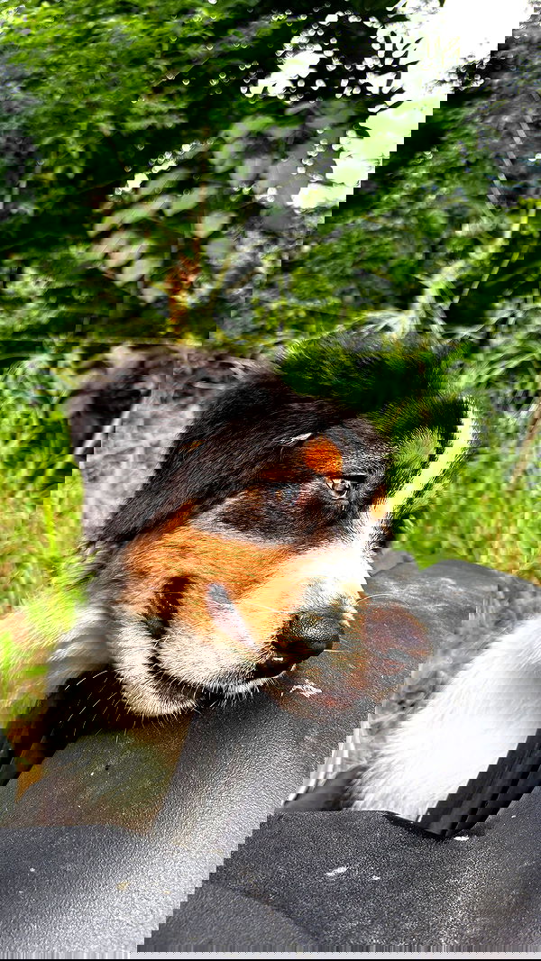 valeria_lukin valeria_lukin archive image