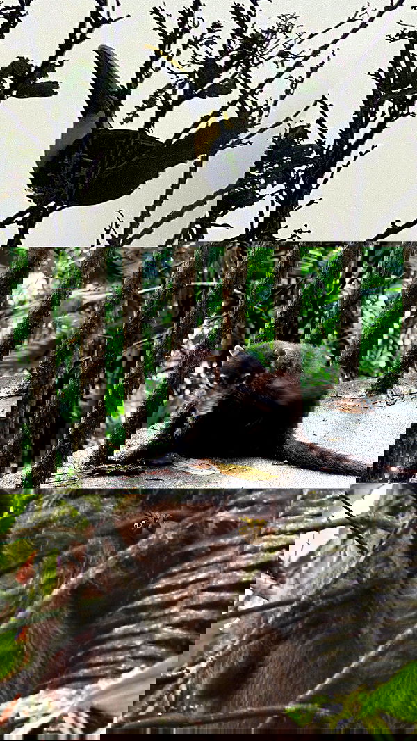 valeria_lukin valeria_lukin archive image