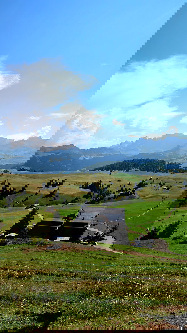 valeria_lukin valeria_lukin archive image