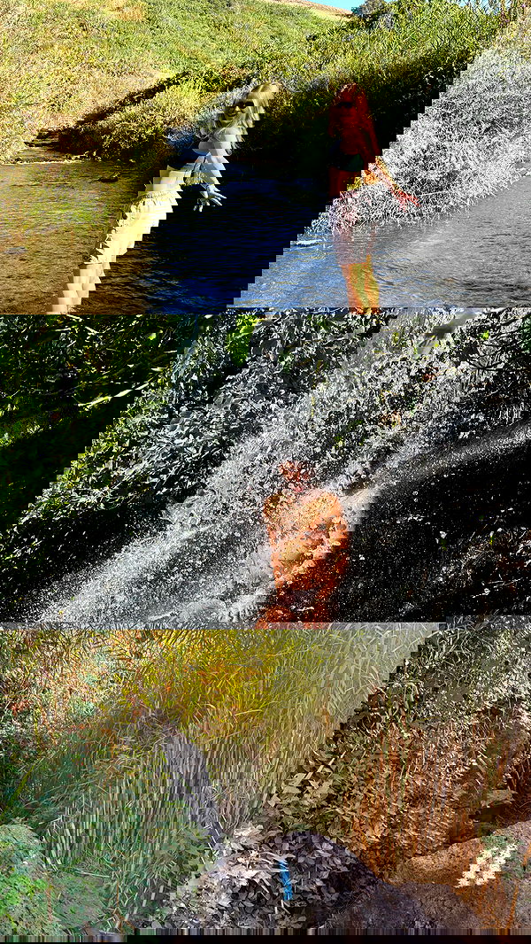 valeria_lukin valeria_lukin archive image