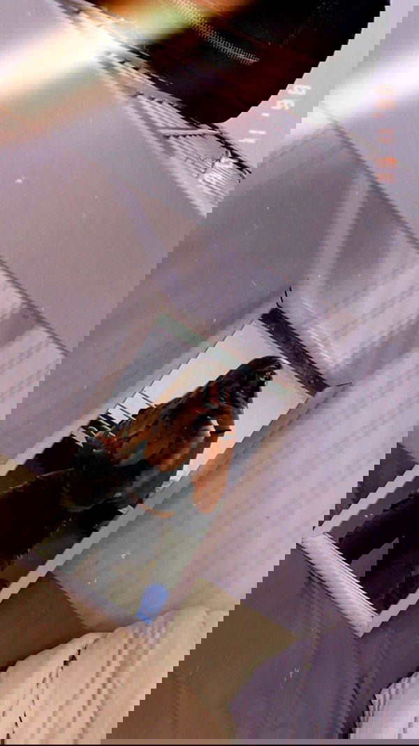 valeryy.t1 image ~ Altpins