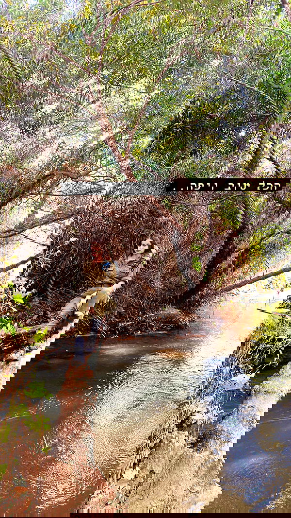 valeryy.t1 image ~ Altpins