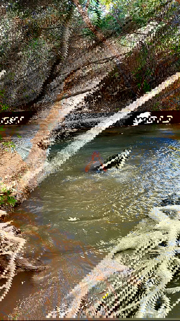 valeryy.t1 image ~ Altpins