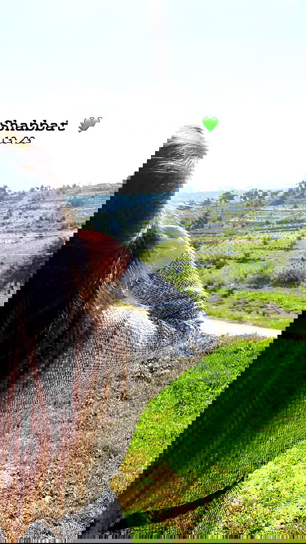 valeryy.t1 image ~ Altpins