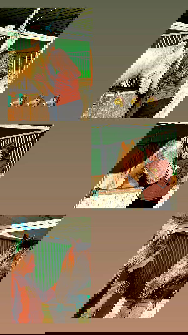 valeryy.t1 image ~ Altpins