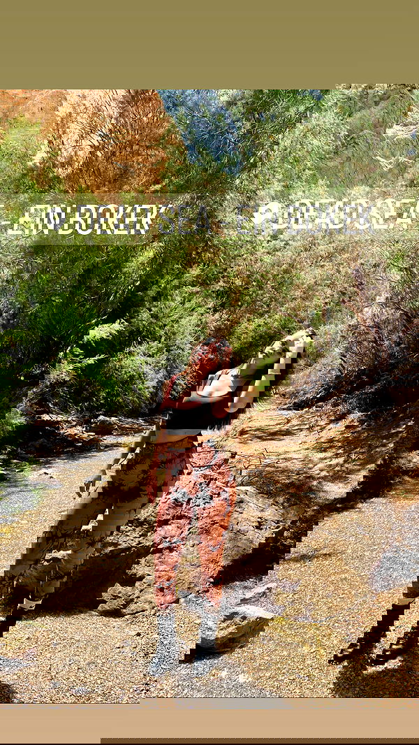 valeryy.t1 image ~ Altpins