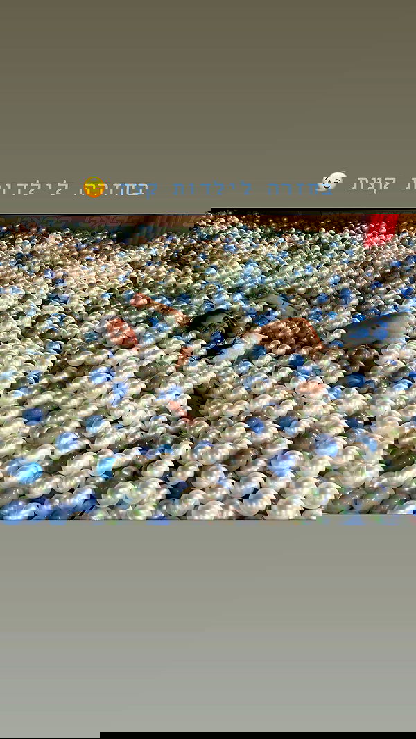 valeryy.t1 image ~ Altpins