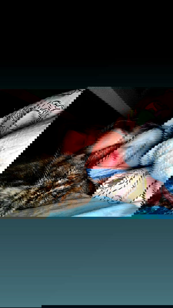 valeryy.t1 image ~ Altpins