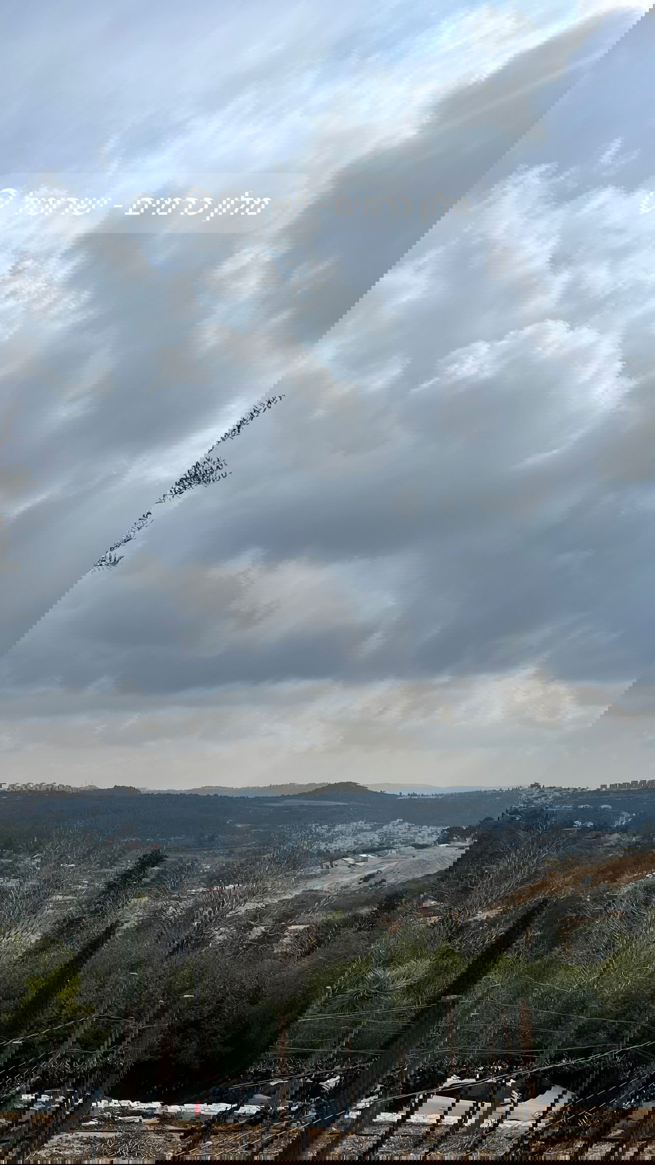 valeryy.t1 instagram image archive image