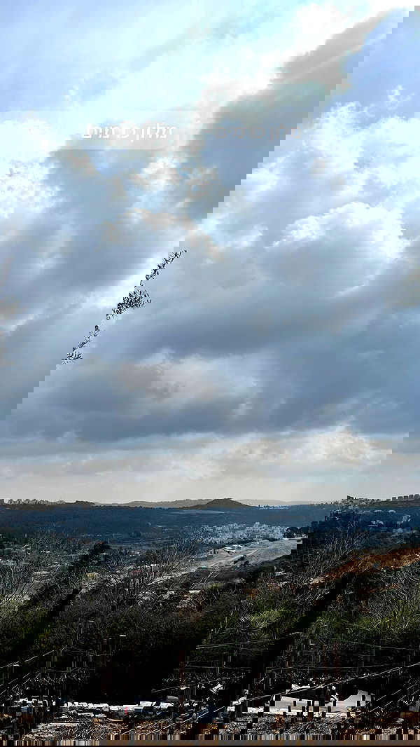 valeryy.t1 image ~ Altpins