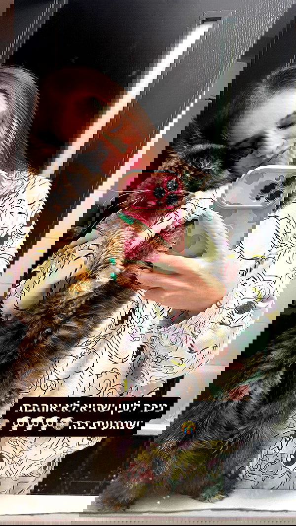 valeryy.t1 image ~ Altpins