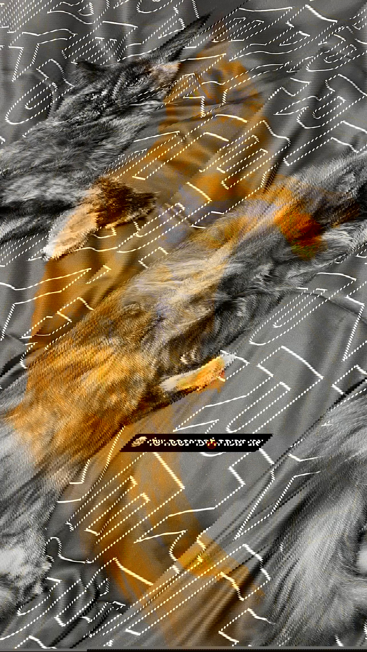 valeryy.t1 instagram image archive image