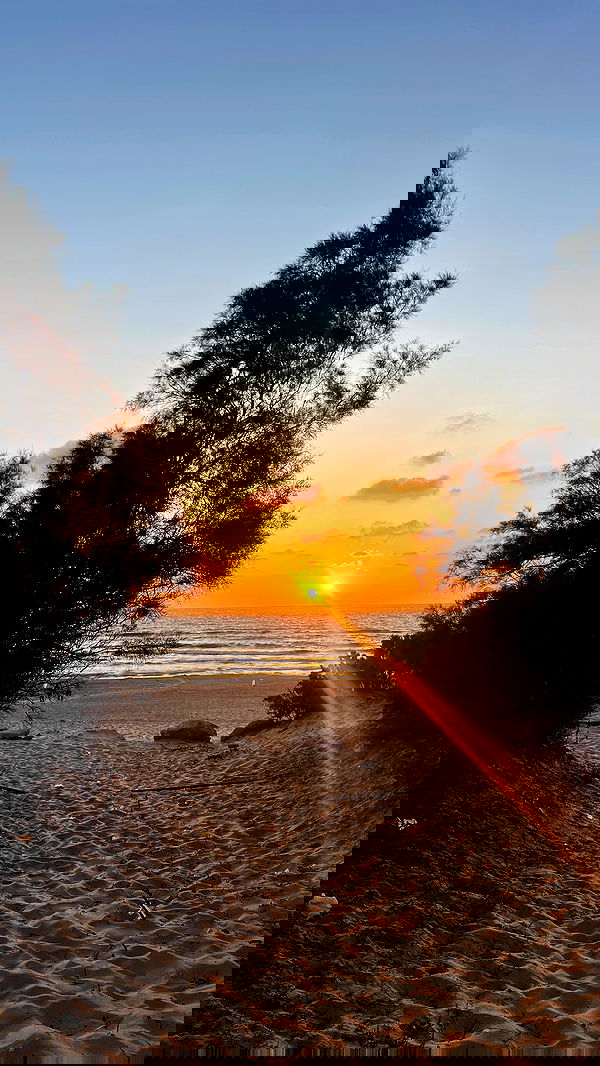 valeryy.t1 image ~ Altpins