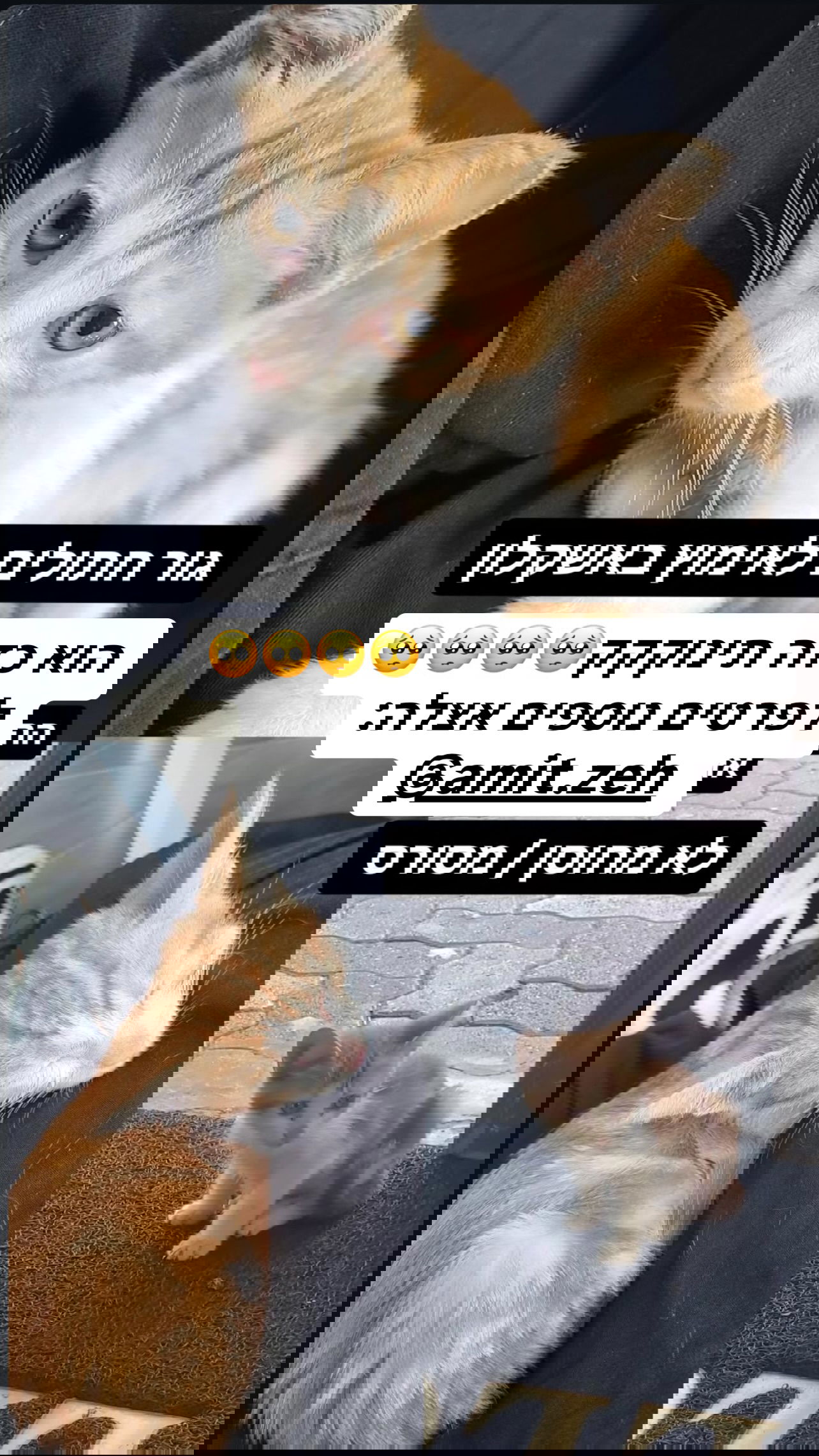 valeryy.t1 instagram image archive image