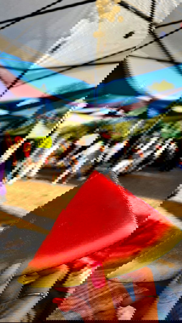 valeryy.t1 image ~ Altpins