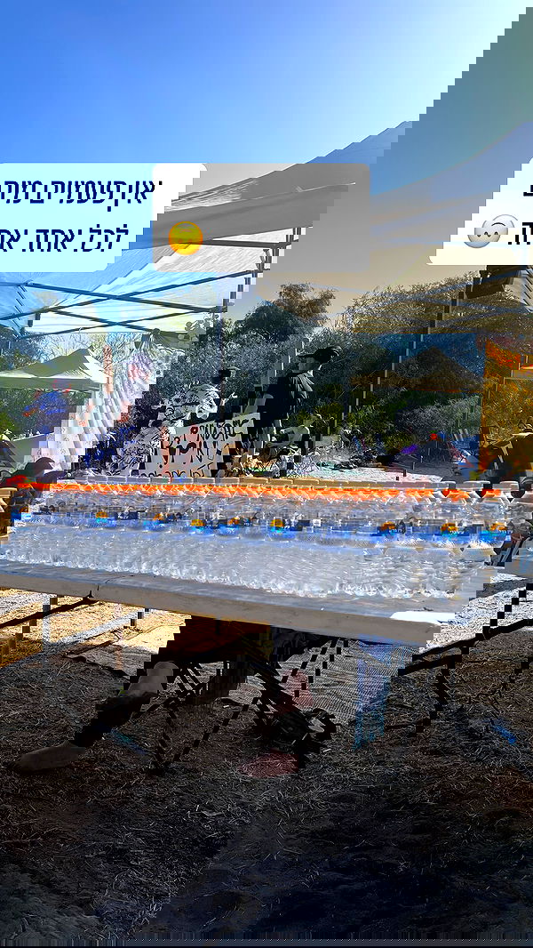 valeryy.t1 image ~ Altpins