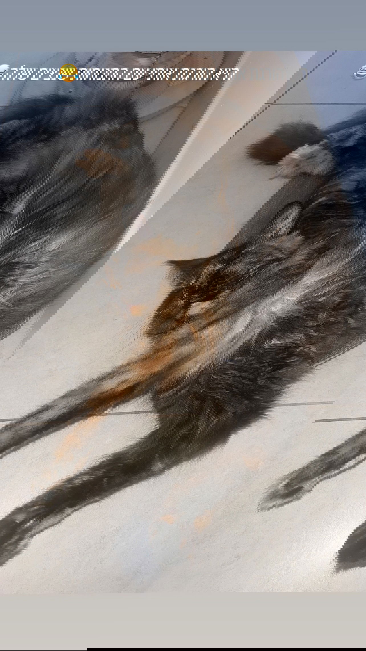 valeryy.t1 instagram image archive image