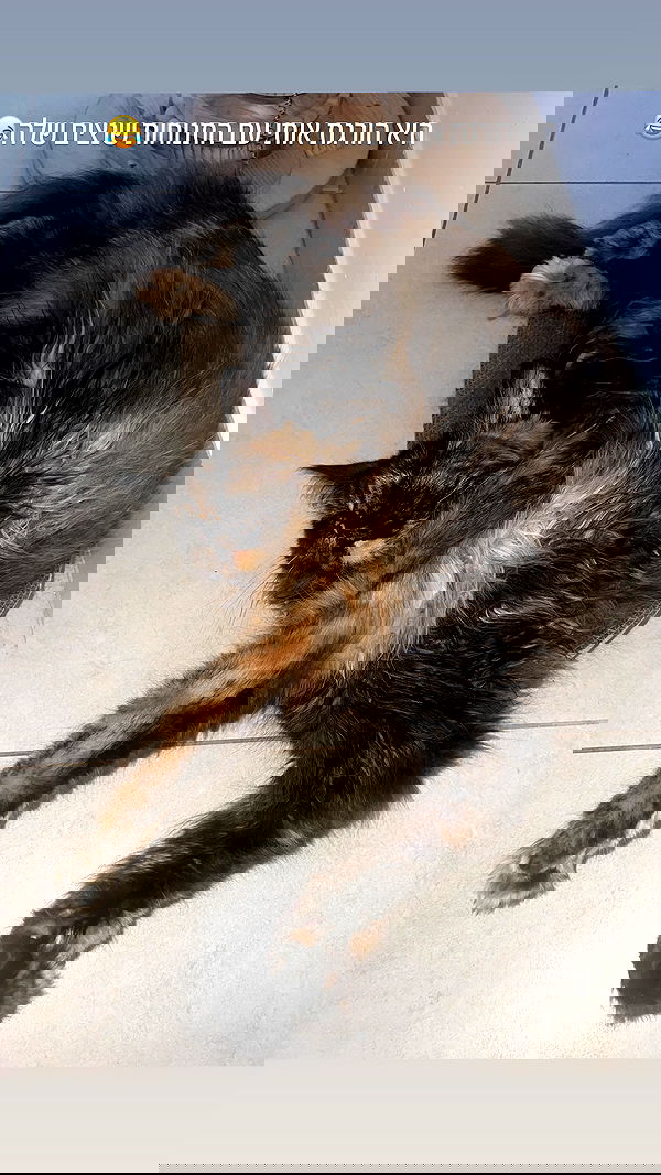 valeryy.t1 image ~ Altpins