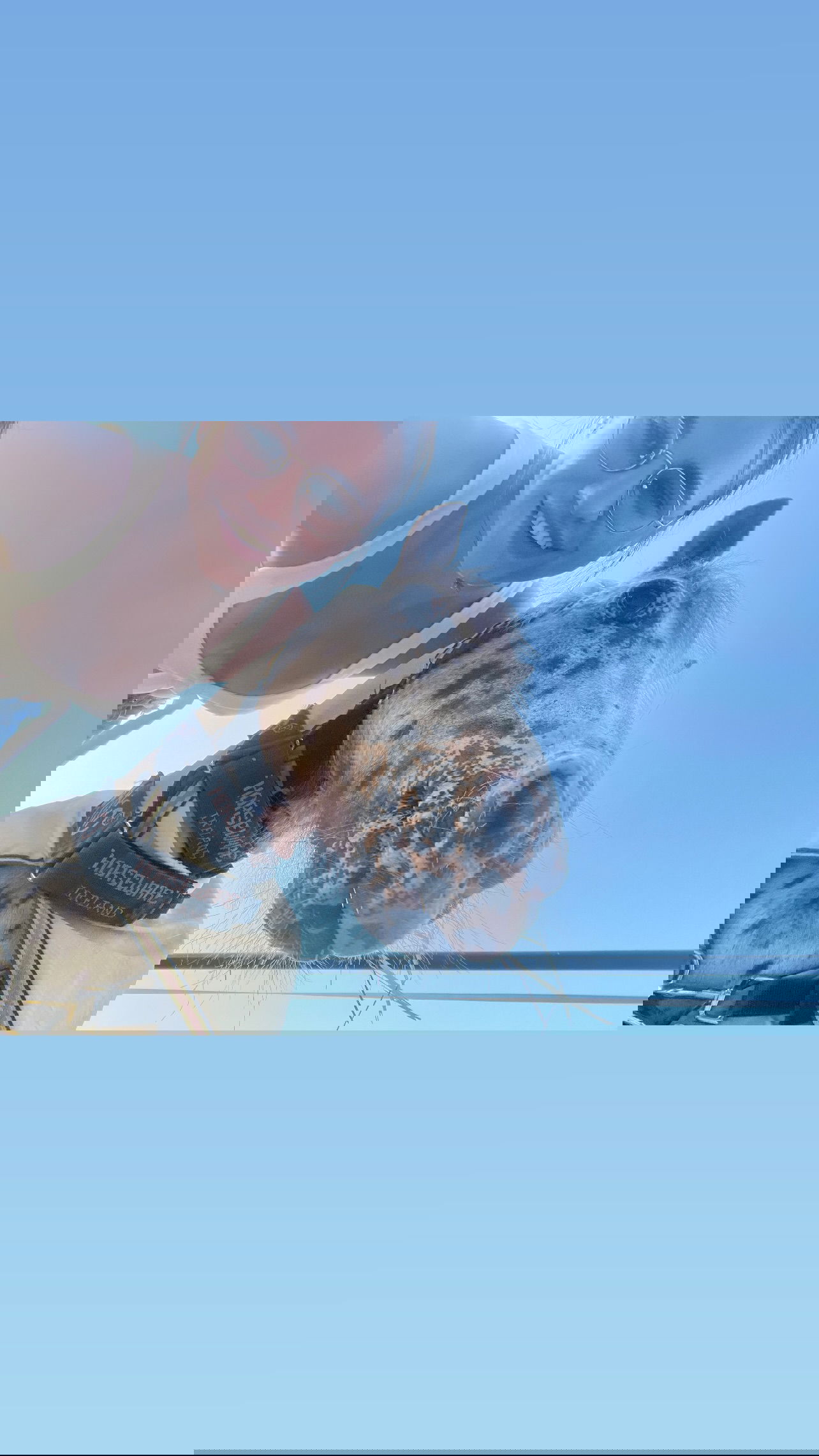 valeryy.t1 instagram image archive image