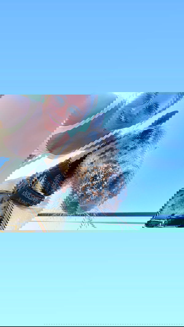 valeryy.t1 image ~ Altpins