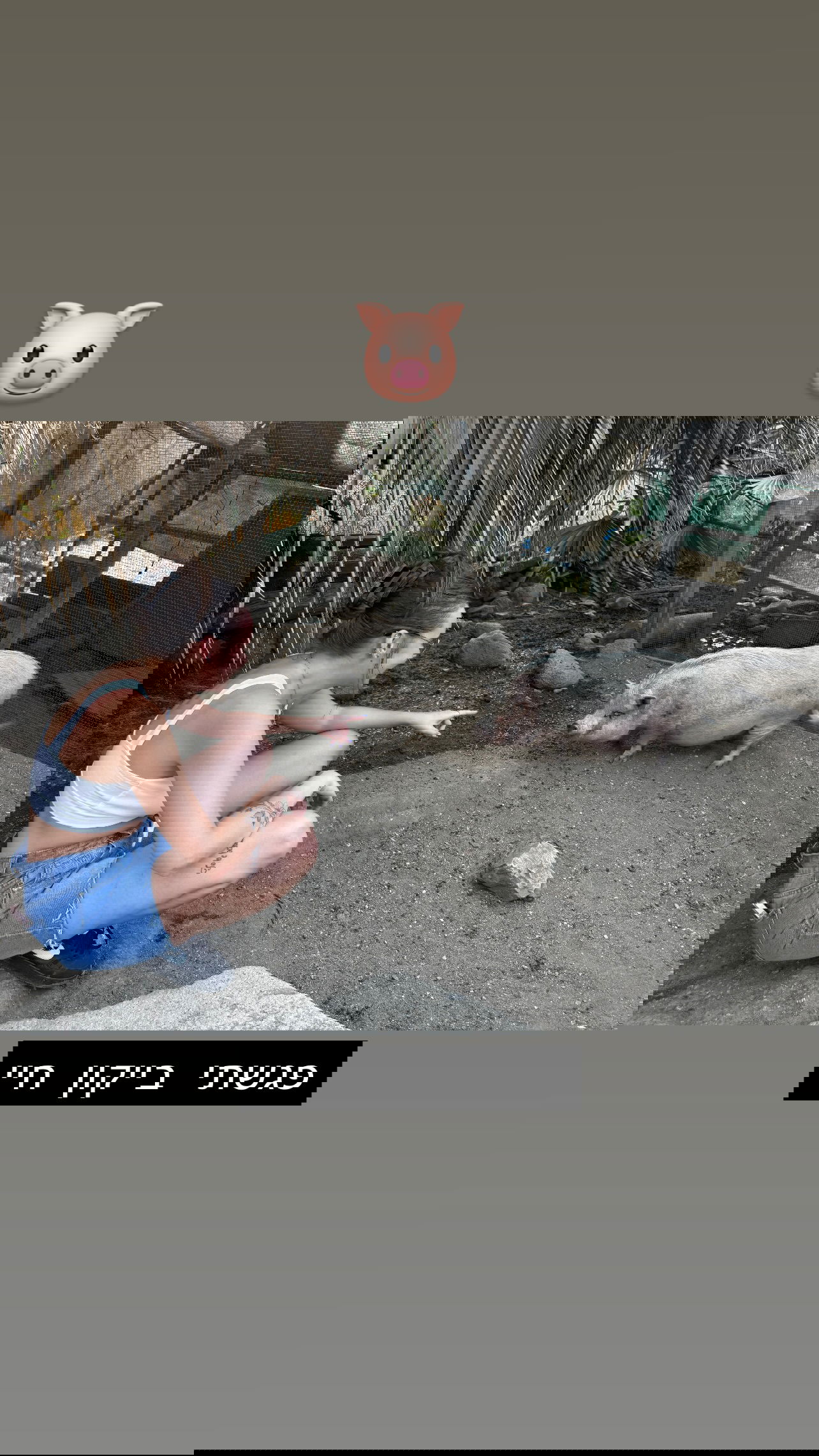 valeryy.t1 instagram image archive image