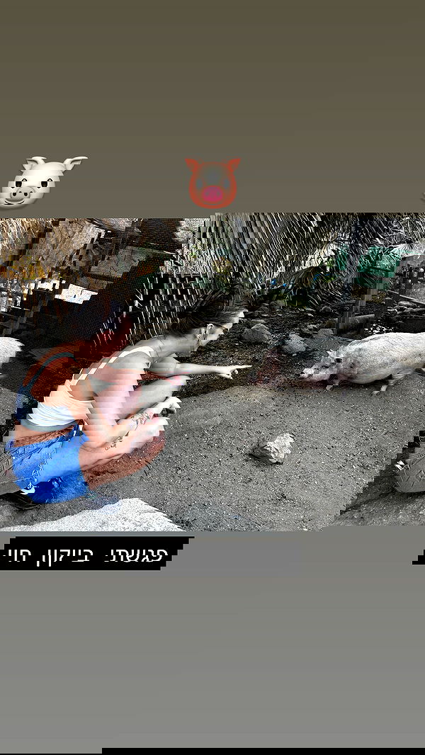 valeryy.t1 image ~ Altpins