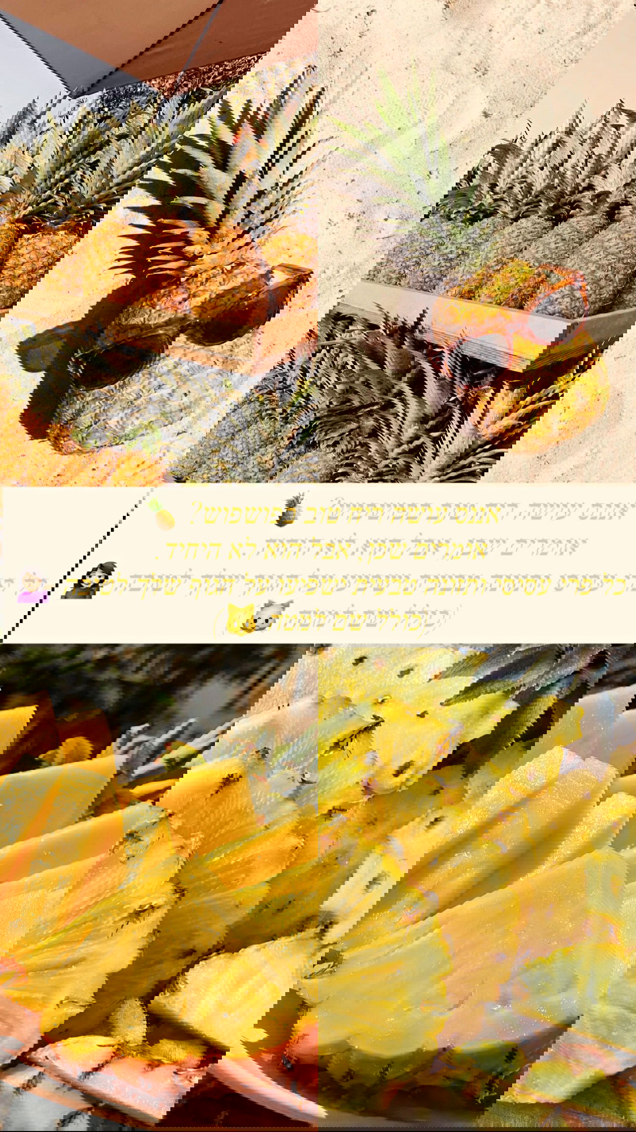 valeryy.t1 instagram image archive image