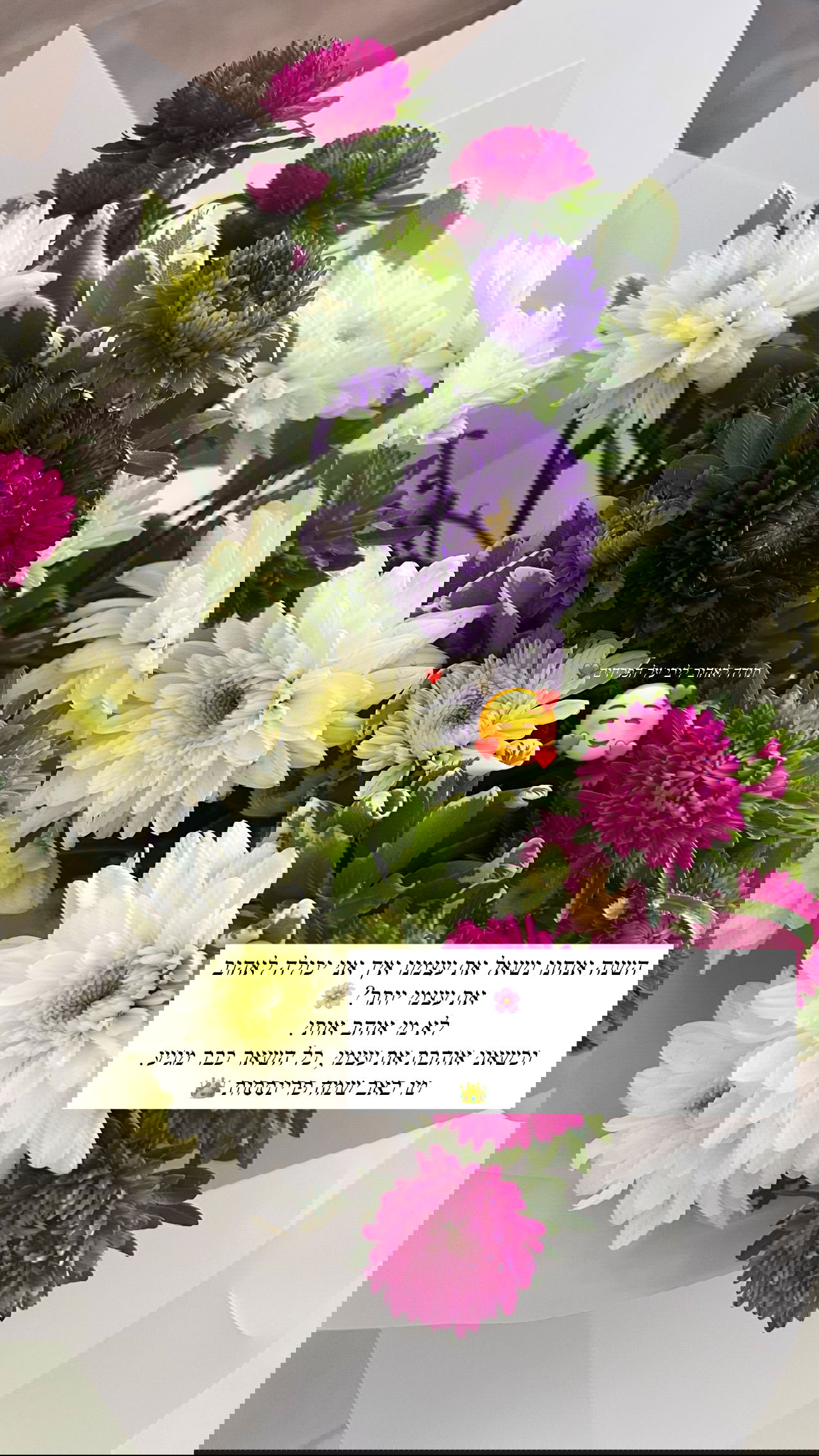 valeryy.t1 instagram image archive image