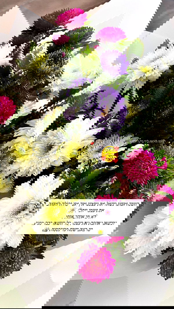 valeryy.t1 image ~ Altpins