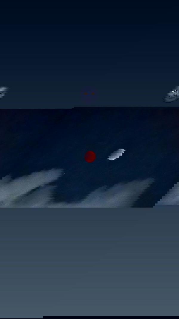 valeryy.t1 image ~ Altpins