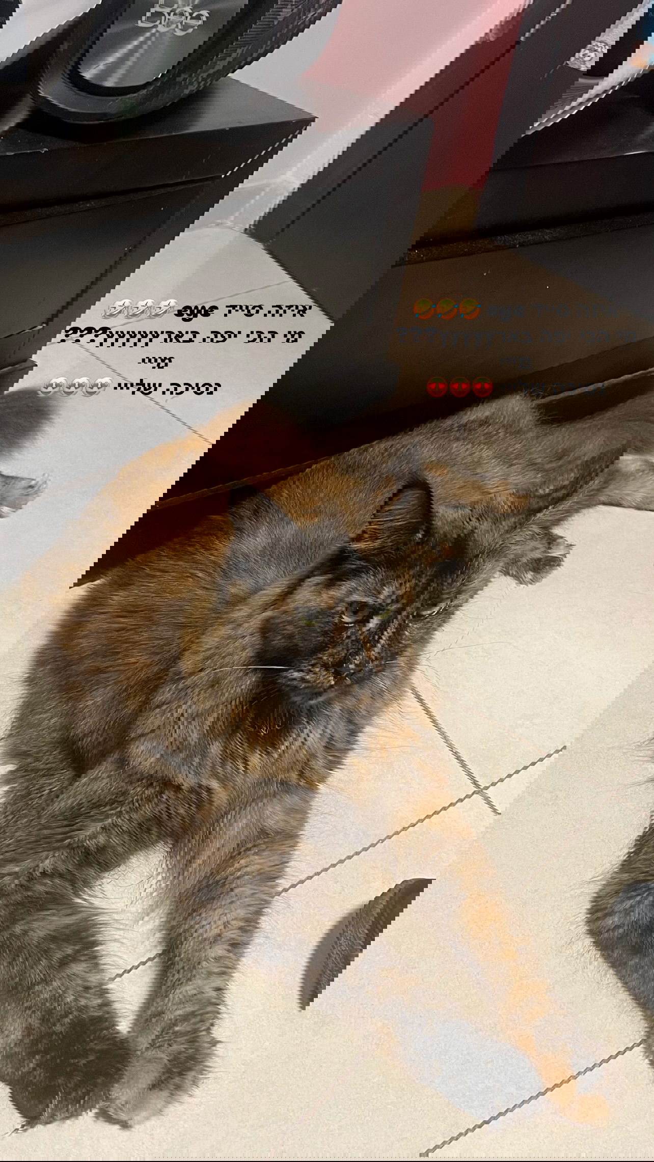 valeryy.t1 instagram image archive image