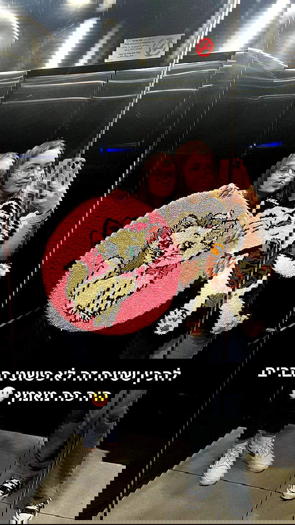 valeryy.t1 image ~ Altpins