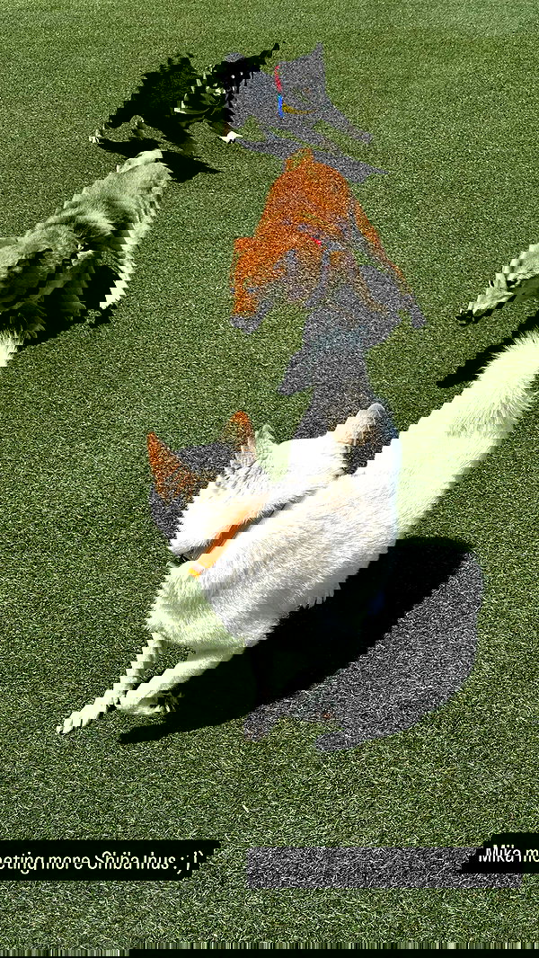 valkyrae valkyrae archive image