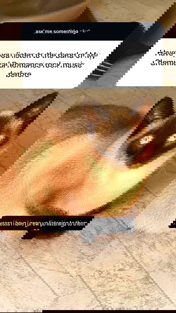 vamppyrbaby vamppyrbaby archive image