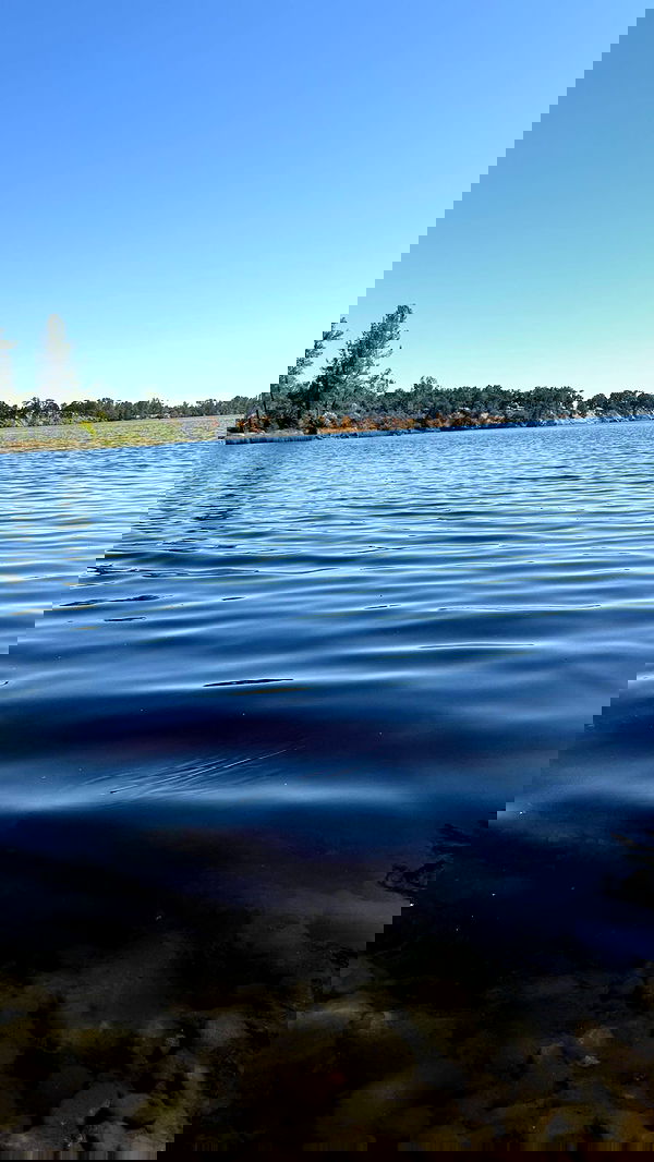 vamppyrbaby vamppyrbaby archive image