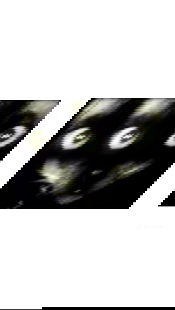 vamppyrbaby vamppyrbaby archive image