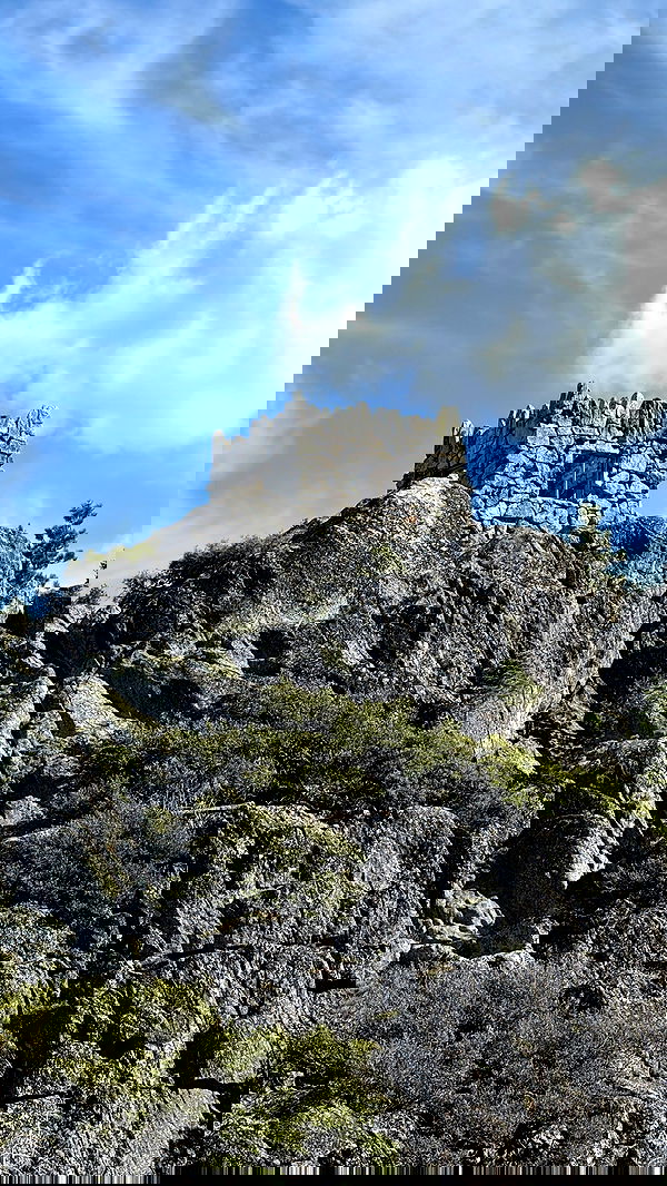 vamppyrbaby vamppyrbaby archive image