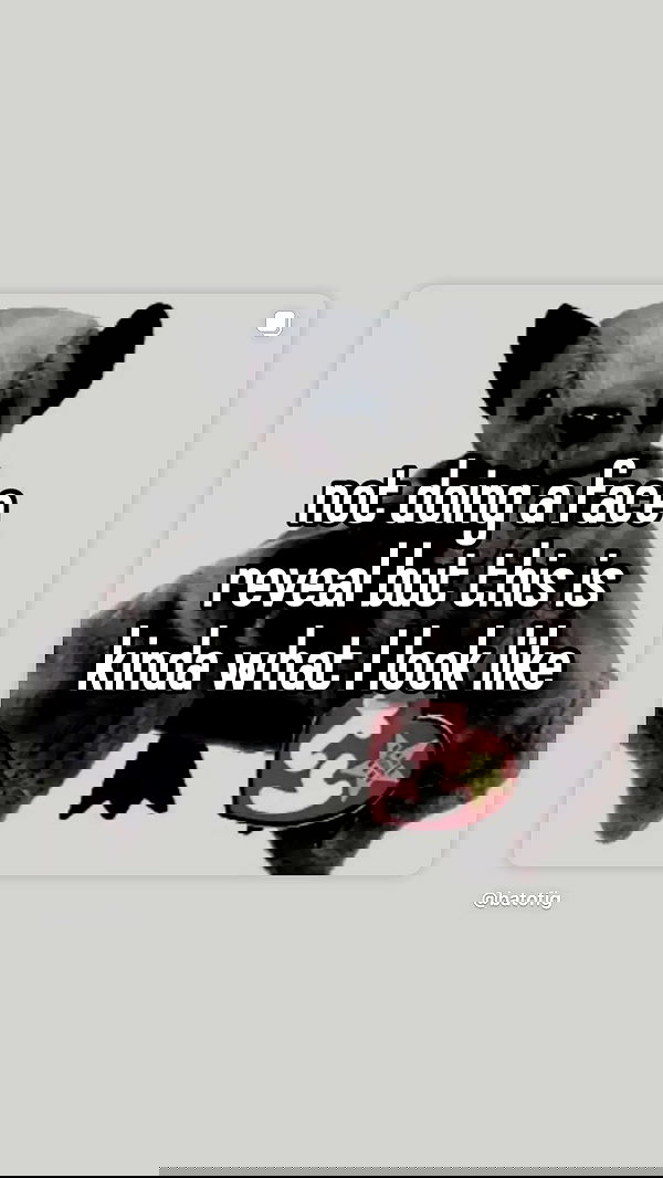 vamppyrbaby vamppyrbaby archive image