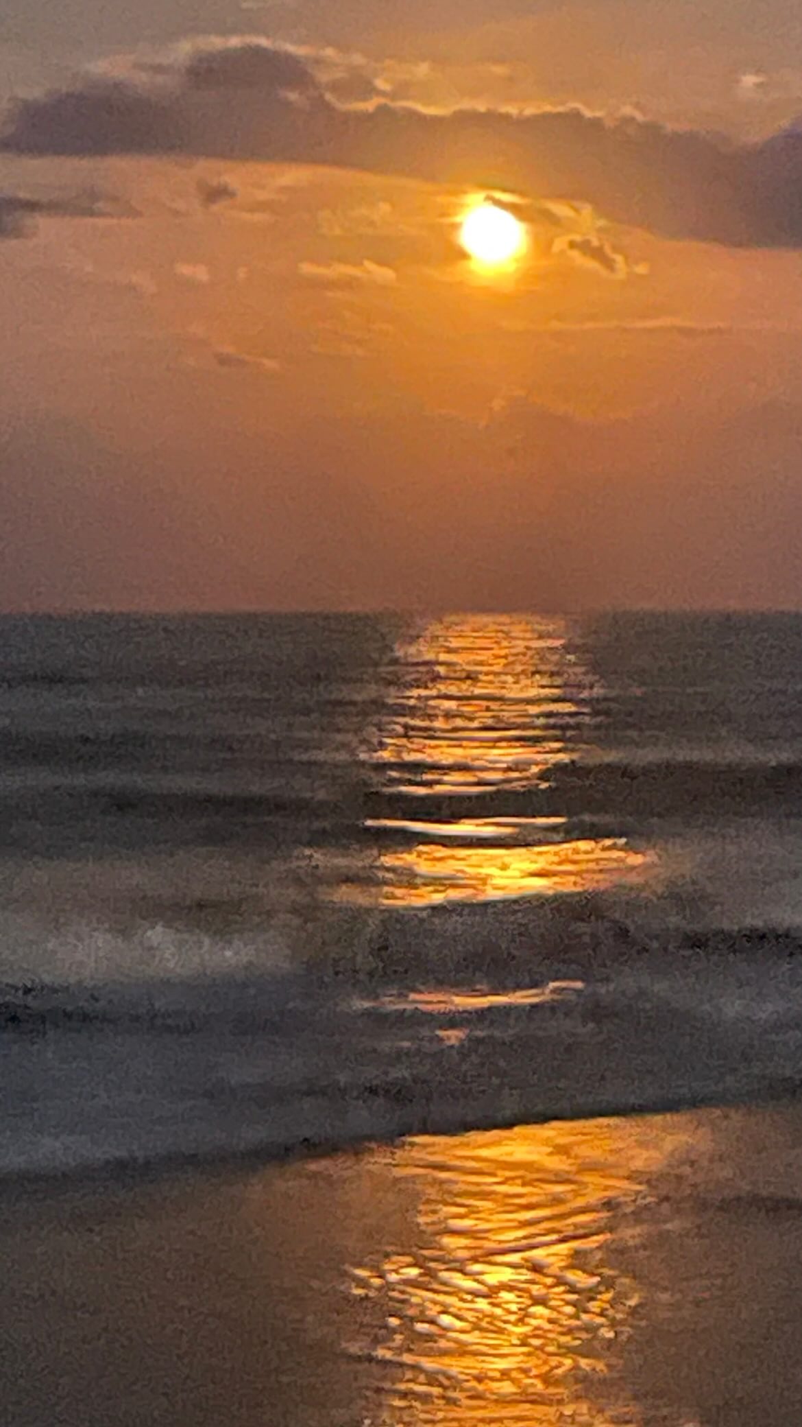 vanessa.julienne instagram image archive image