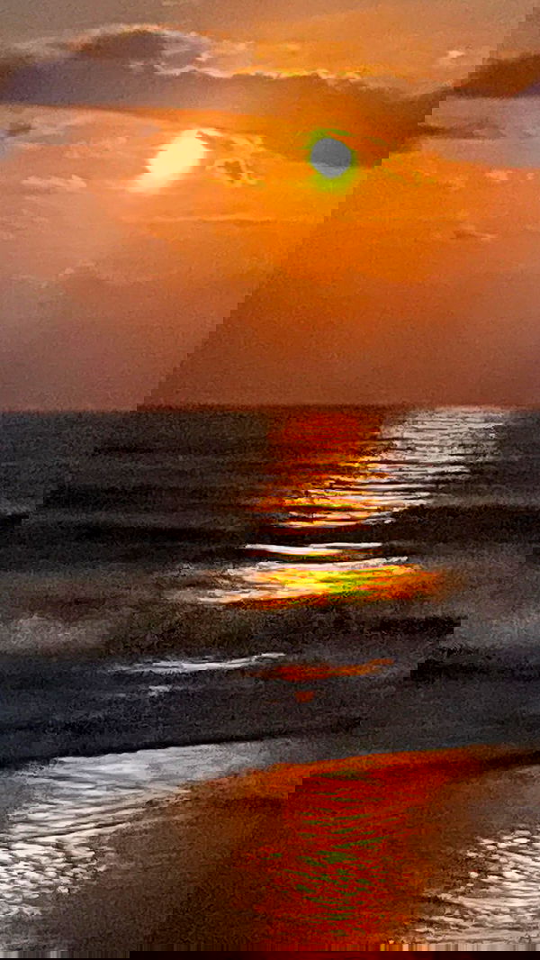 vanessa.julienne image ~ Altpins