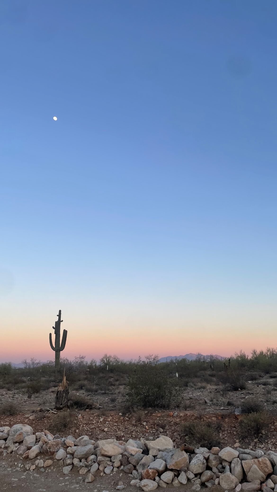 vanessa.julienne instagram image archive image