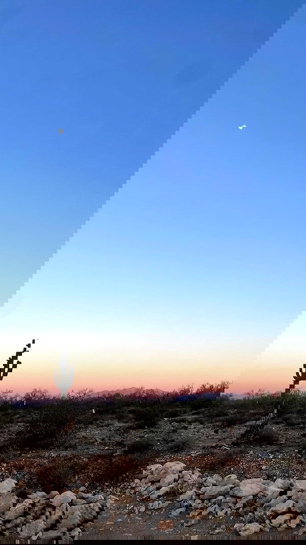 vanessa.julienne image ~ Altpins