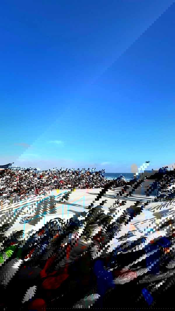 vanessa.julienne image ~ Altpins