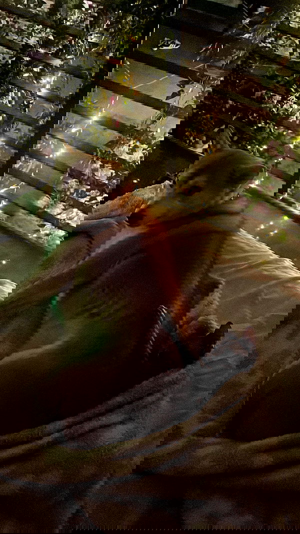 vanessa.julienne image ~ Altpins