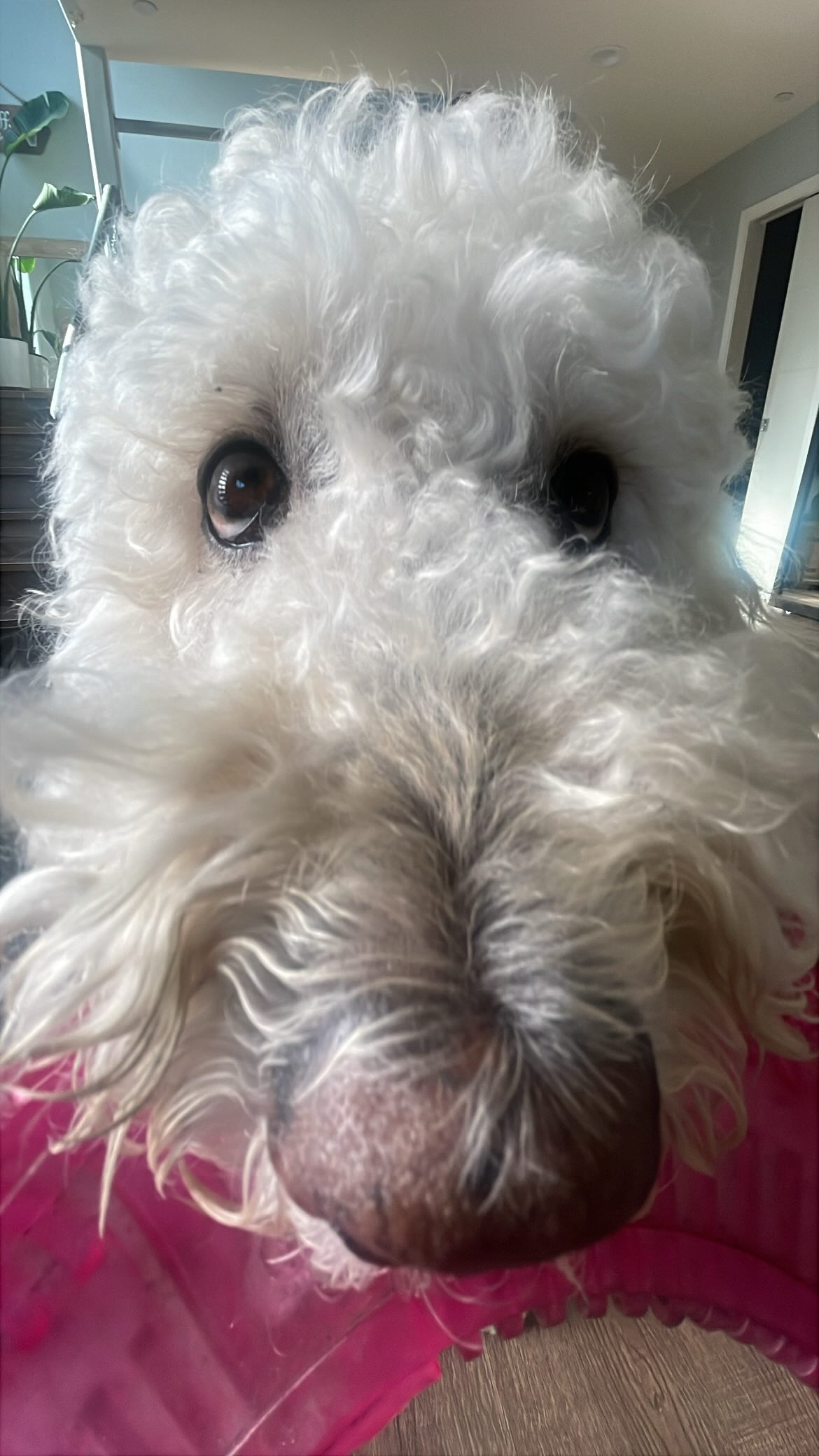 vanessa.julienne instagram image archive image